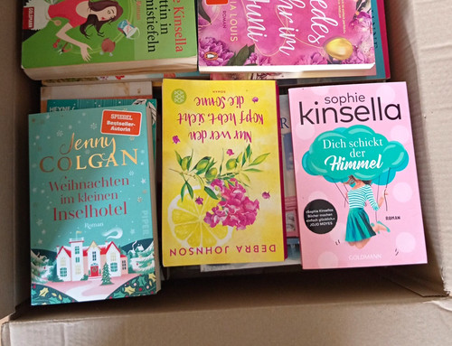 Bücherpaket romane deutsch - bücherpaket,